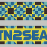 Mountains to Sea FC Scarf Bulk-Olive & York