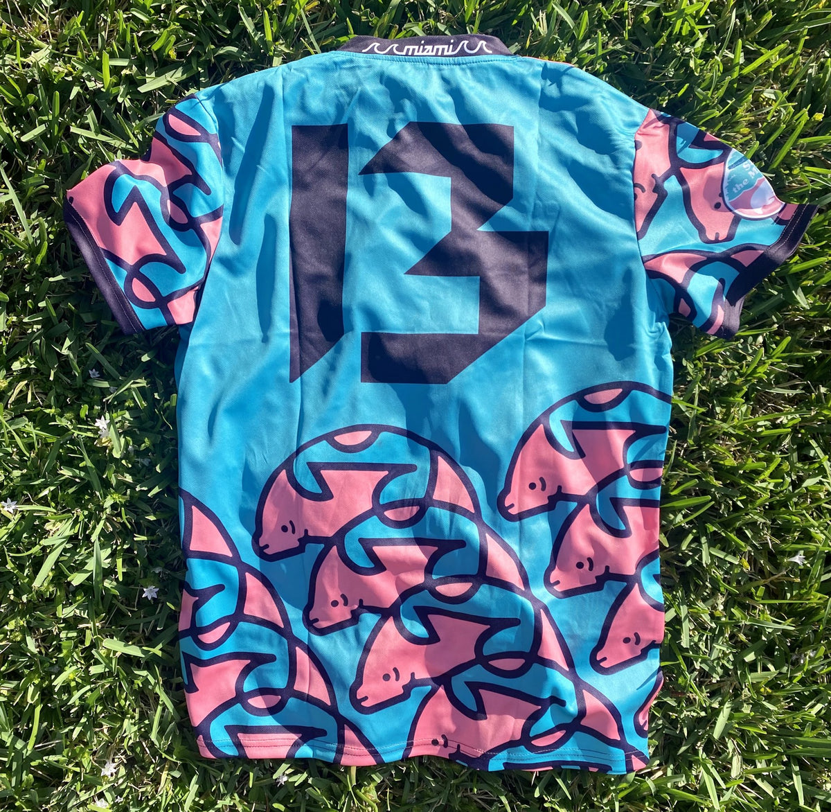 Biscayne Bay Manatees Kit Olive & York