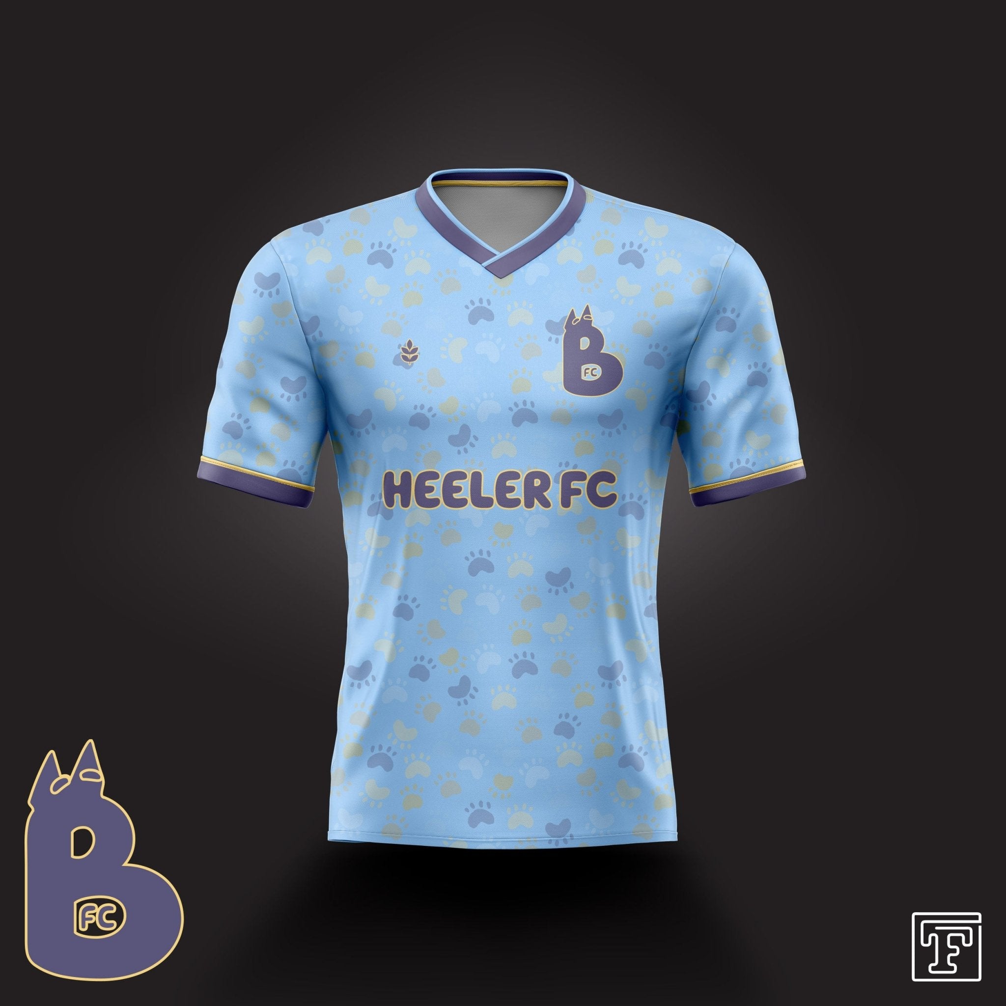 Heeler FC Jersey-Olive & York
