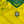 Brazil 2004 Vintage Home Kit-Olive & York