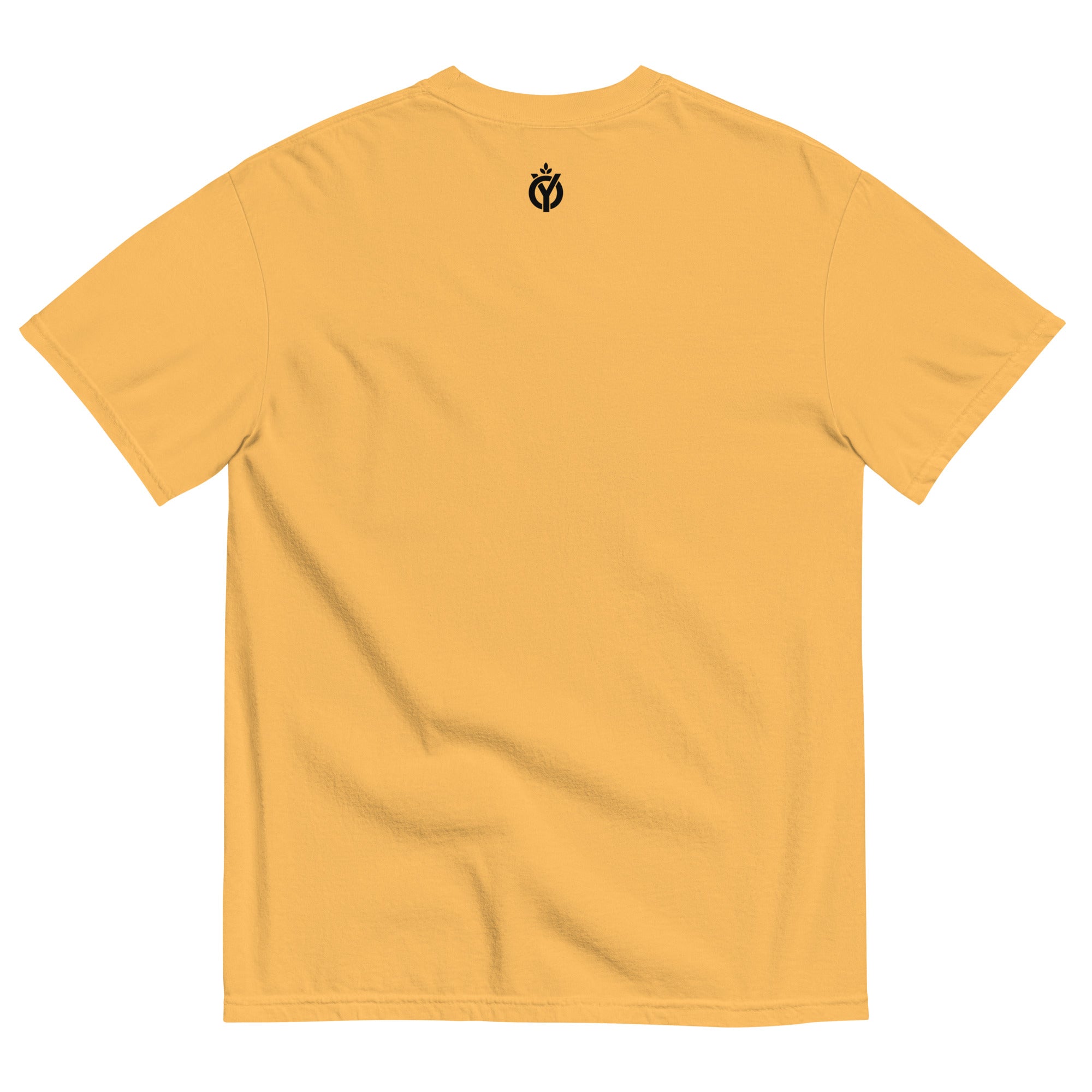 Anti Ice FC garment-dyed heavyweight t-shirt-Olive & York