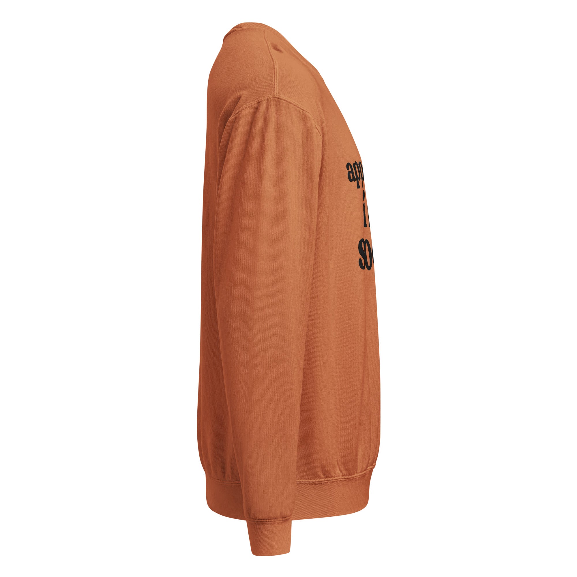 Apparently I Like Soccer Unisex garment-dyed fleece crewneck sweatshirt-Olive & York