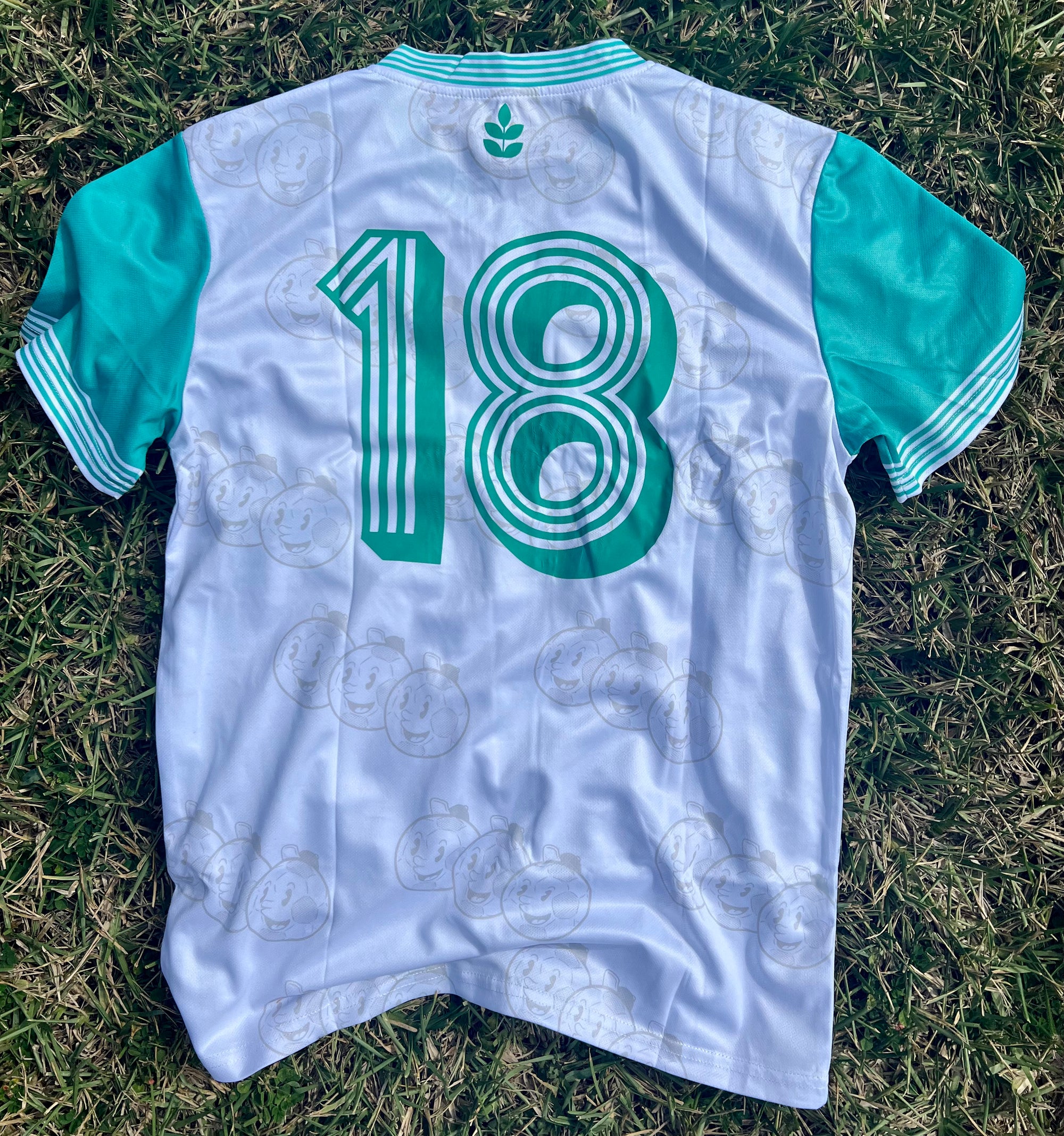 Olive & York Social Club Jersey-Olive & York