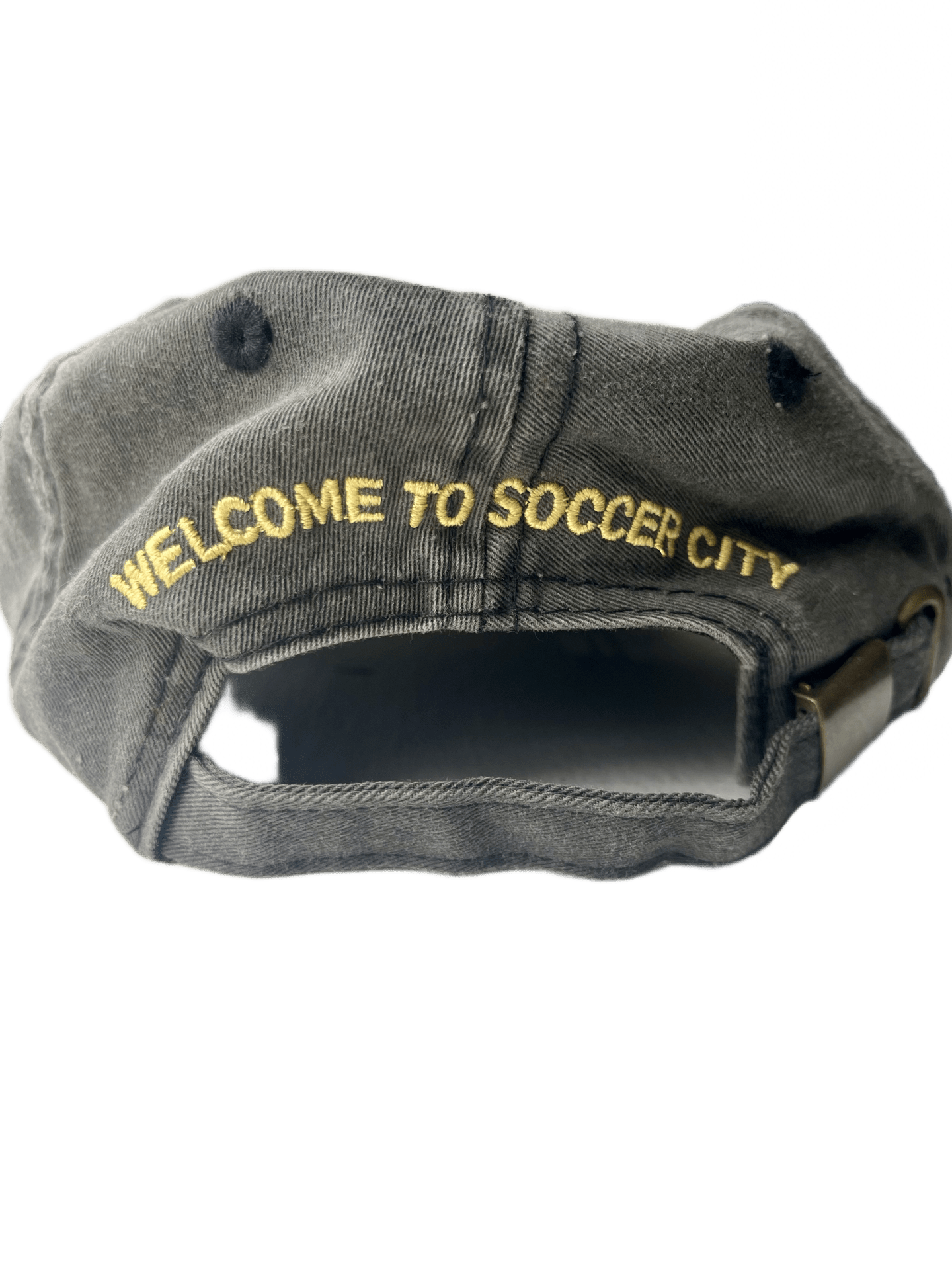 LA Galaxy Vintage Soccer City Retro Strapback Hat-Olive & York