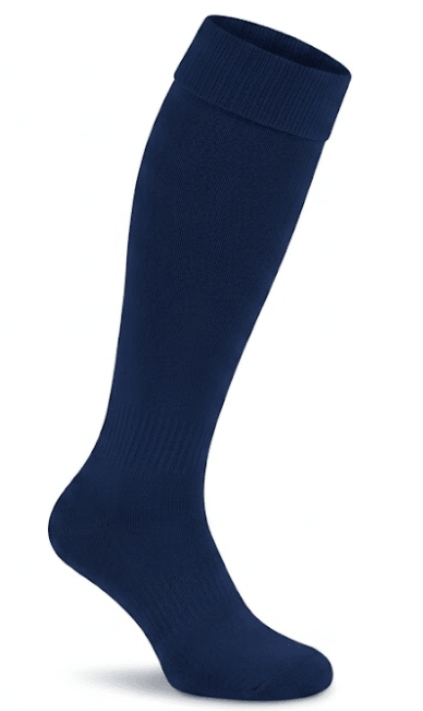 Scrub Jay FC-Olive & York
