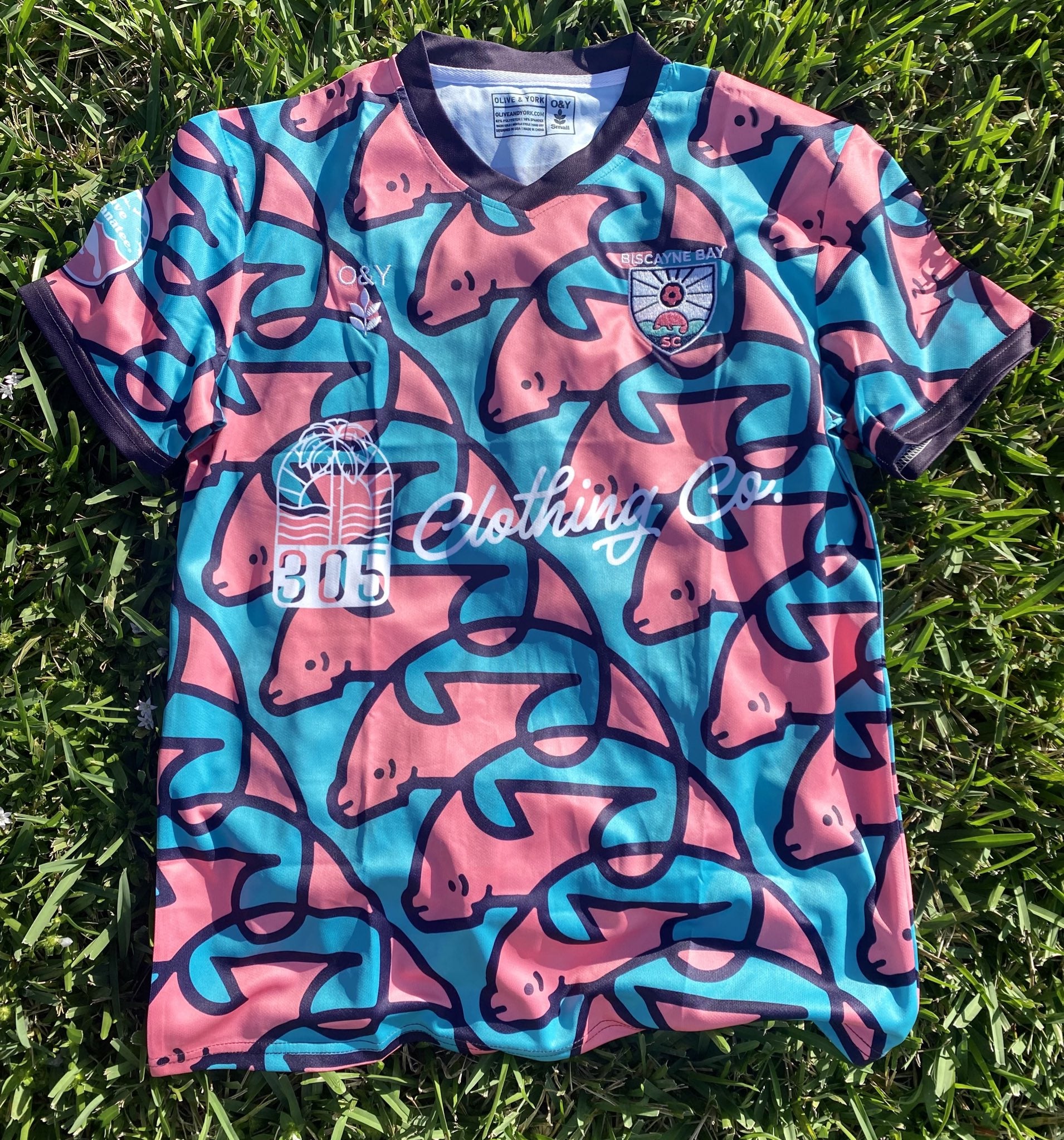 Biscayne Bay Manatees Kit-Olive & York