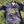 Black Hawk College Braves Spring 23 Kit PRE-ORDER-Olive & York