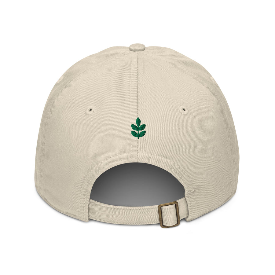 Forest City Sporting Club Organic Relaxed Hat-Olive & York