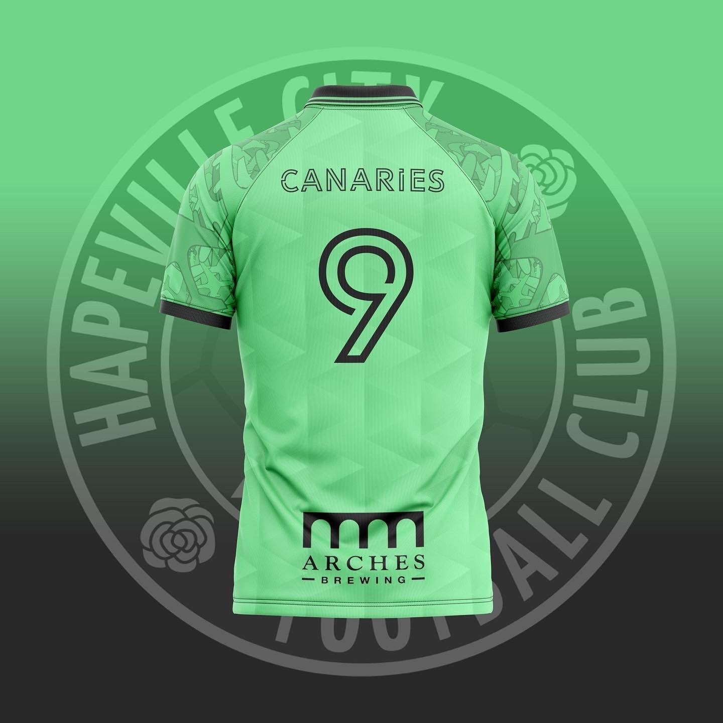 Hapeville City FC Jersey-Olive & York