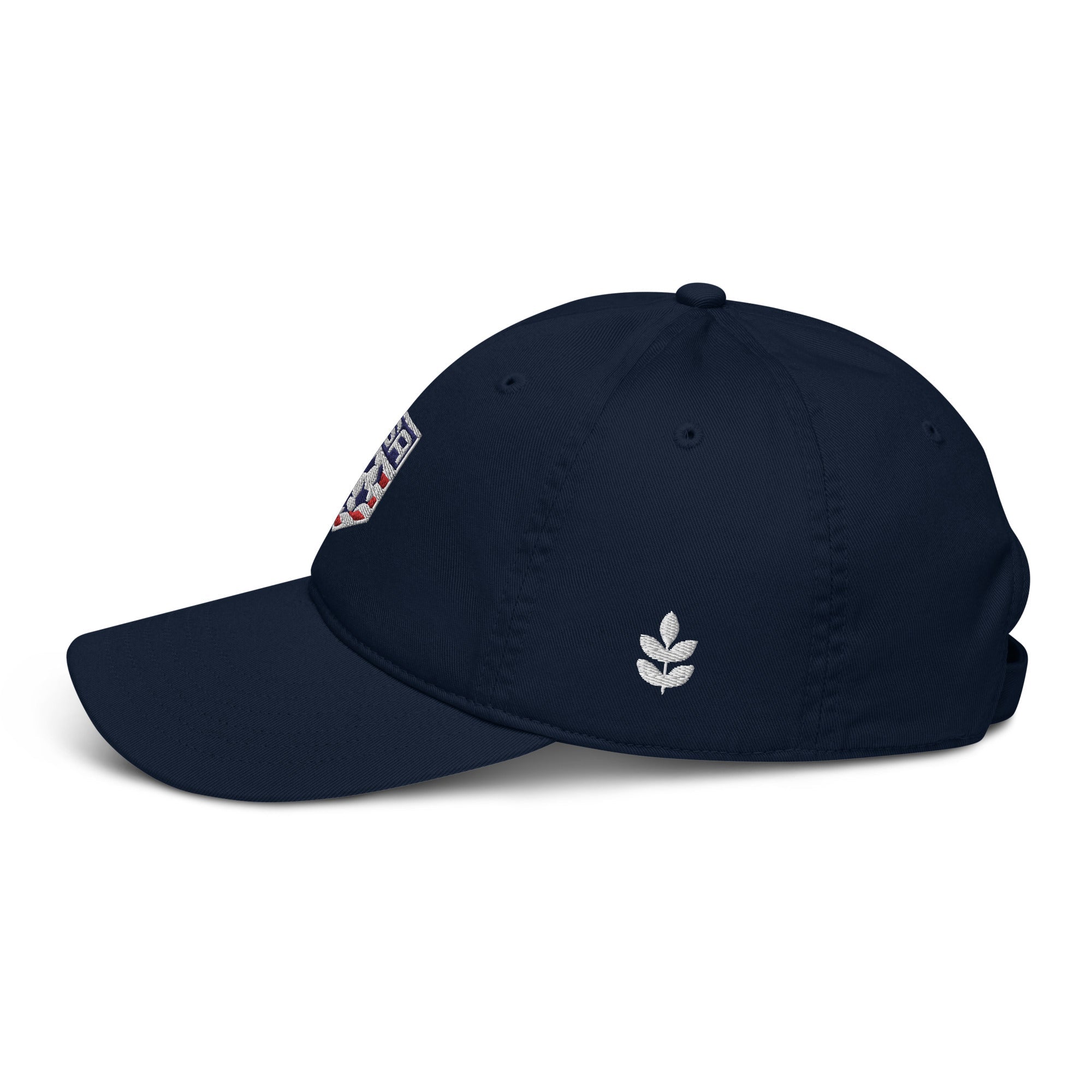 USA 94 Organic Dad Hat-Olive & York