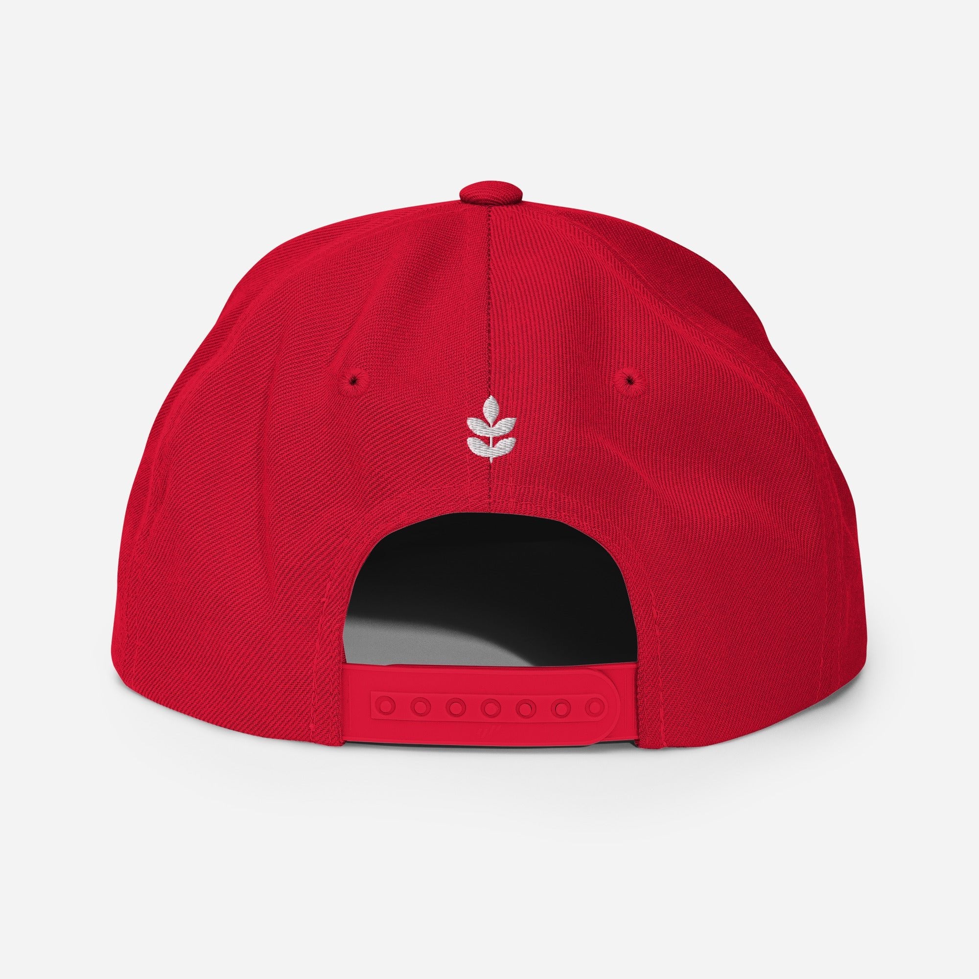 USA Snapback Hat-Olive & York